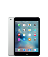 Ремонт iPad Mini 4 - iServ